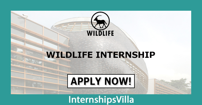 Wildlife Internship